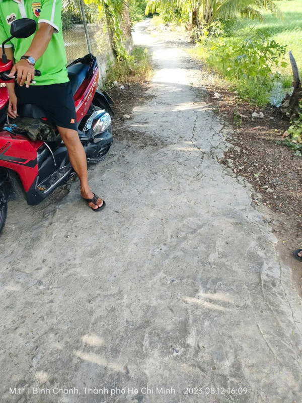 Đất lúa 966m2 tân nhựt thành phố Hồ Chí Minh đường ba gác gần cao tốc võ trần chí va bệnh viện Nhi đồng thành phố