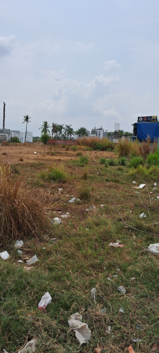 2183HCM.2024 DƯƠNG HOA PHƯƠNG