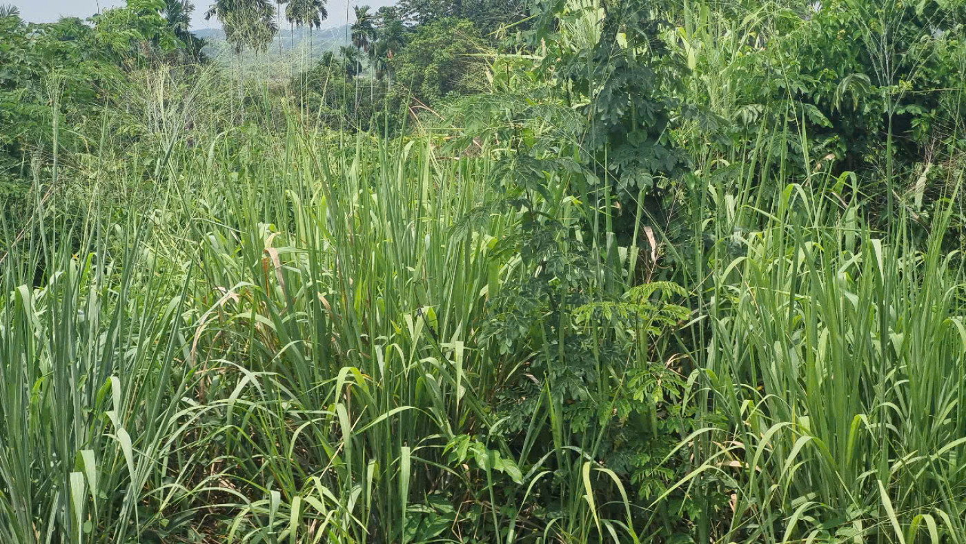 831 925 9	Phường Hòa Lợi, thành phố Bến Cát, tỉnh Bình Dương