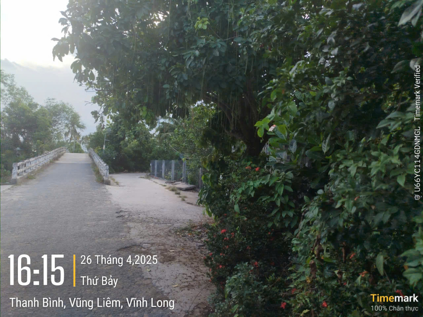 VL382	"Đường liên ấp Thanh Lương - Thanh Tân (Trọn đường)"
