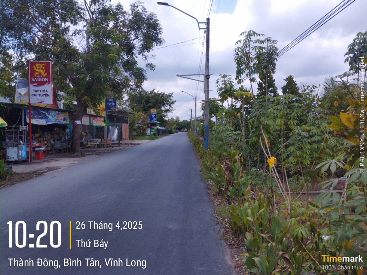 VL907 Quốc lộ 54 Cầu Chú Bèn Cầu Tân Quới - Ảnh 3