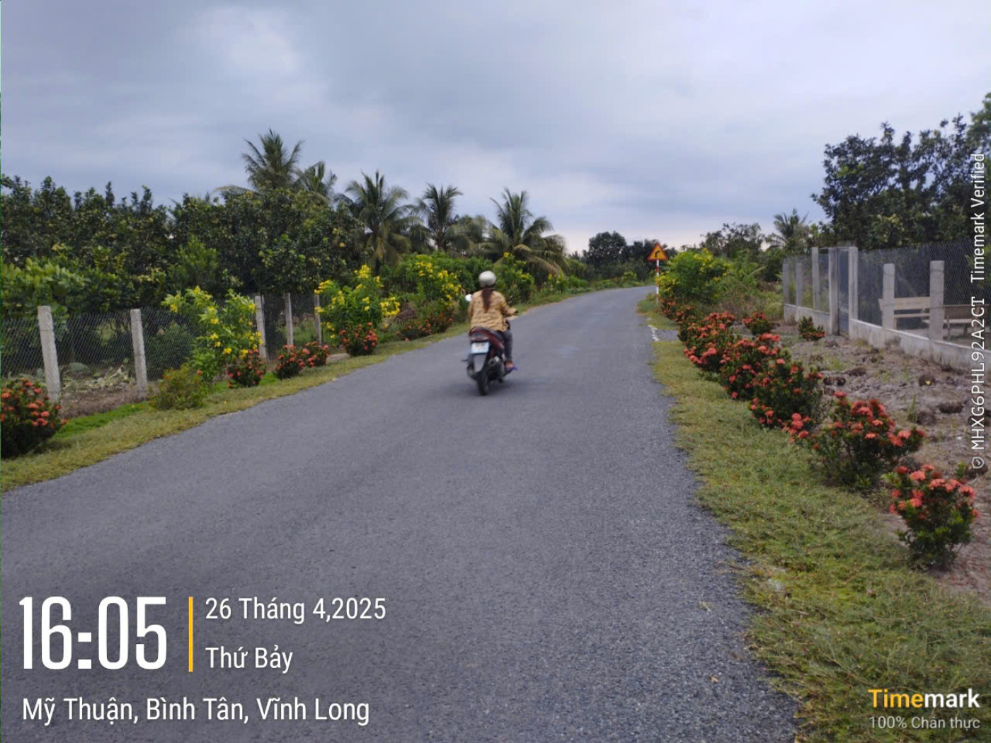 VL935 Đường huyện 81 Cầu Khoán Tiết Cầu Rạch Ranh - Ảnh 2