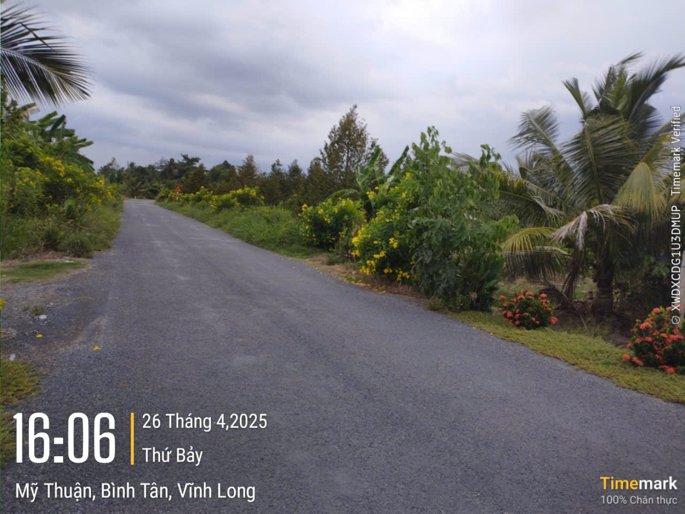 VL935 Đường huyện 81 Cầu Khoán Tiết Cầu Rạch Ranh - Ảnh 3