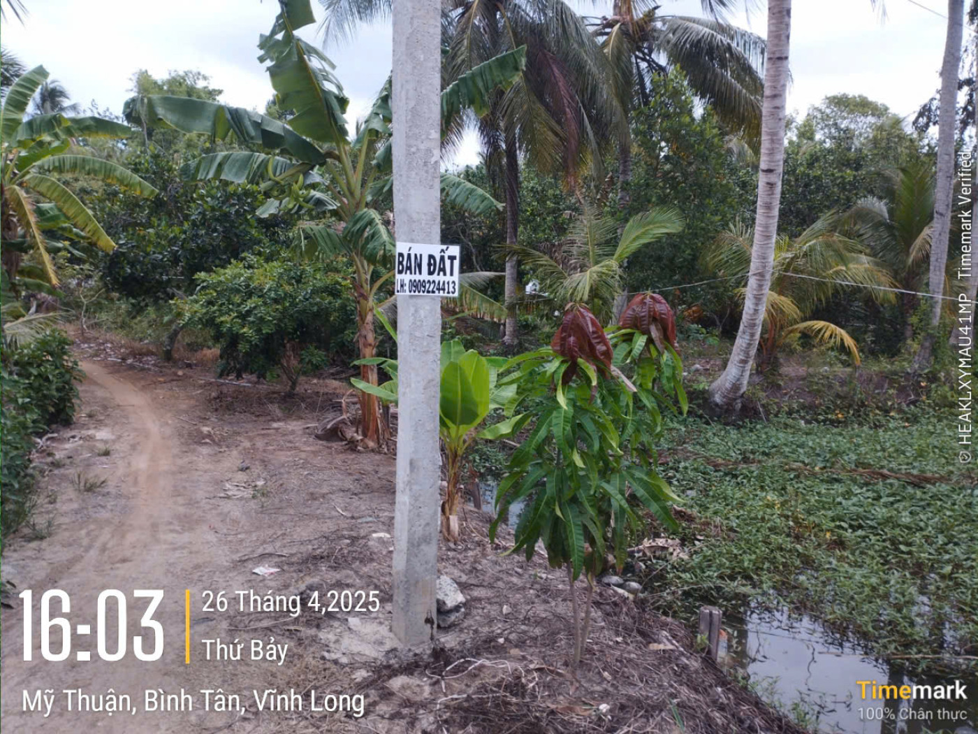 VL935 Đường huyện 81 Cầu Khoán Tiết Cầu Rạch Ranh - Ảnh 4