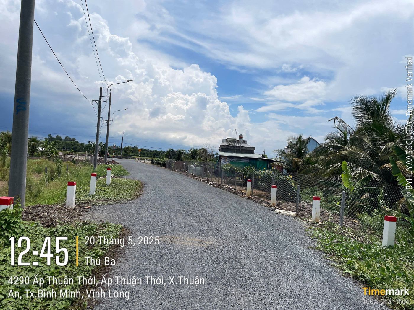VL867 Đường xã còn lại - Ảnh 4