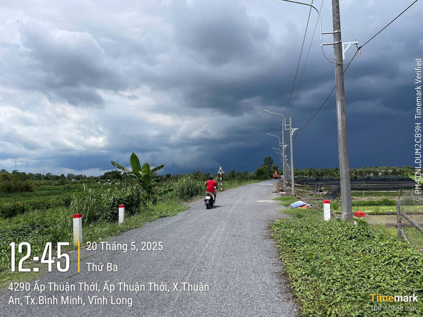 VL867 Đường xã còn lại - Ảnh 2