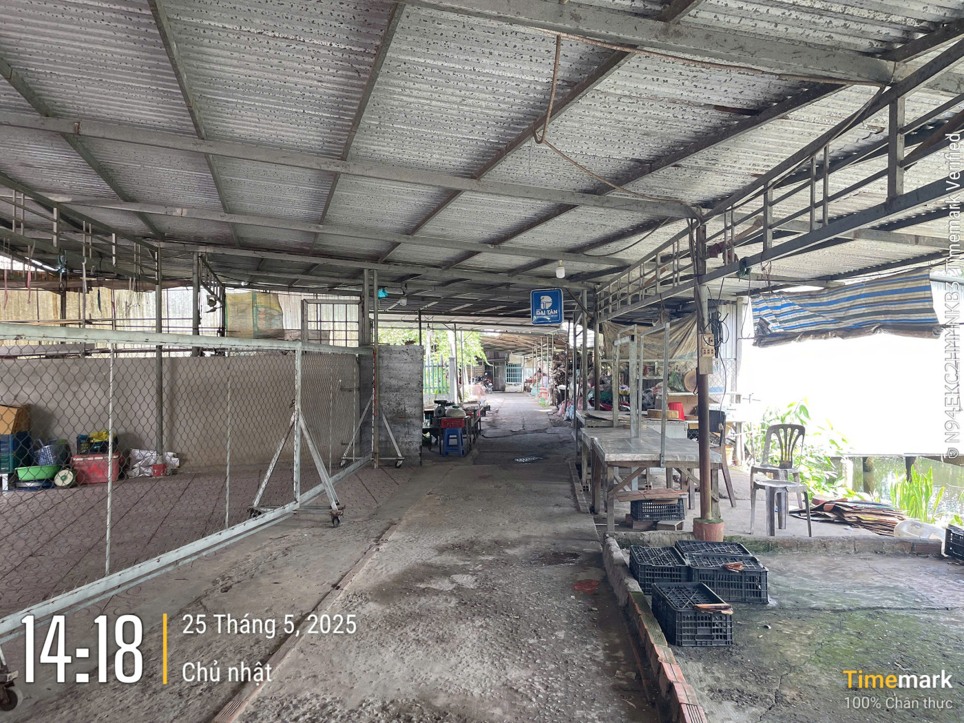 VL910 Khu vực chợ xã Thành Đông - Ảnh 2