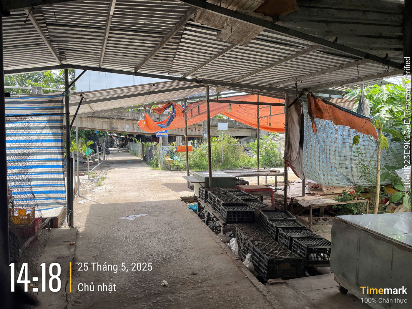 VL910 Khu vực chợ xã Thành Đông - Ảnh 4