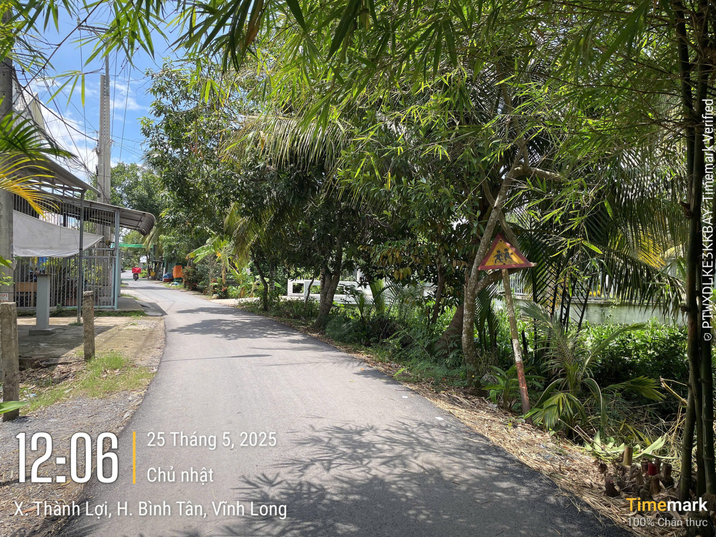 VL919	Đường Chợ Đình	Giáp Quốc lộ 54	Sông Trà Mơn