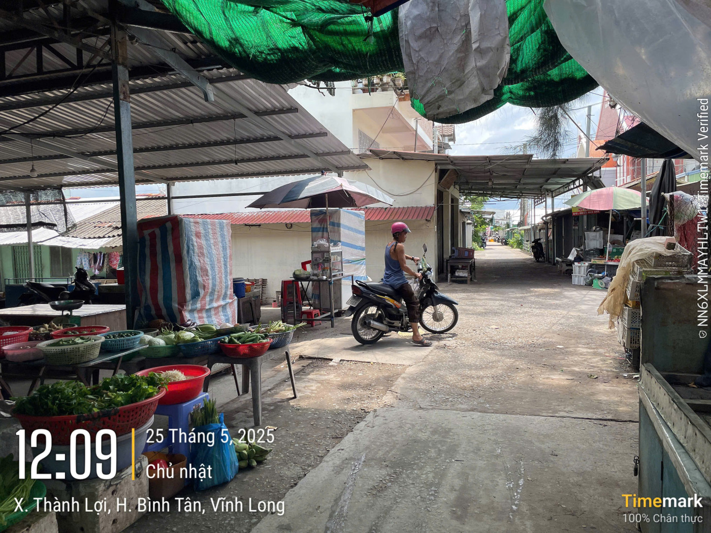 VL921	Khu vực chợ xã Thành Lợi