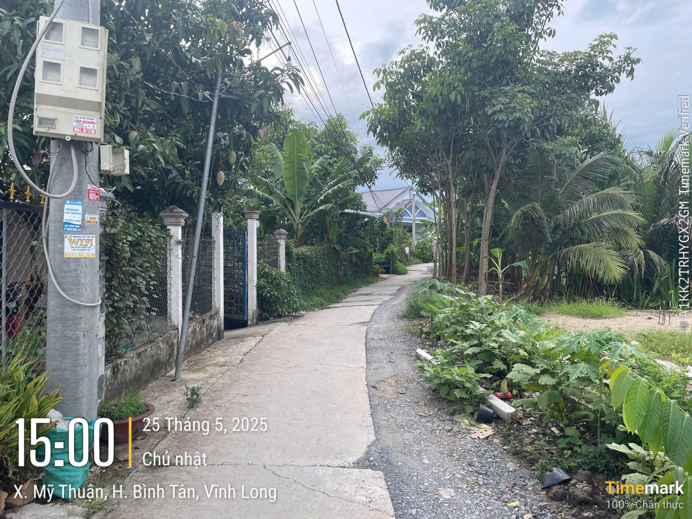 VL941	Đường xã còn lại