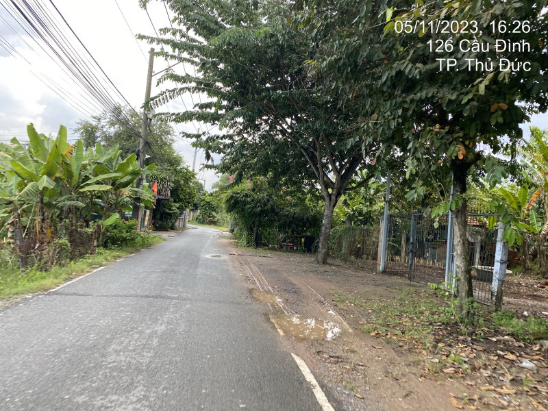 HCM Q9.22 Cầu Đình - Ảnh 2