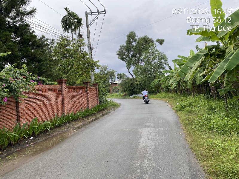 HCM Q9.34 Đường Số 12, Phường Long Phước - Ảnh 4