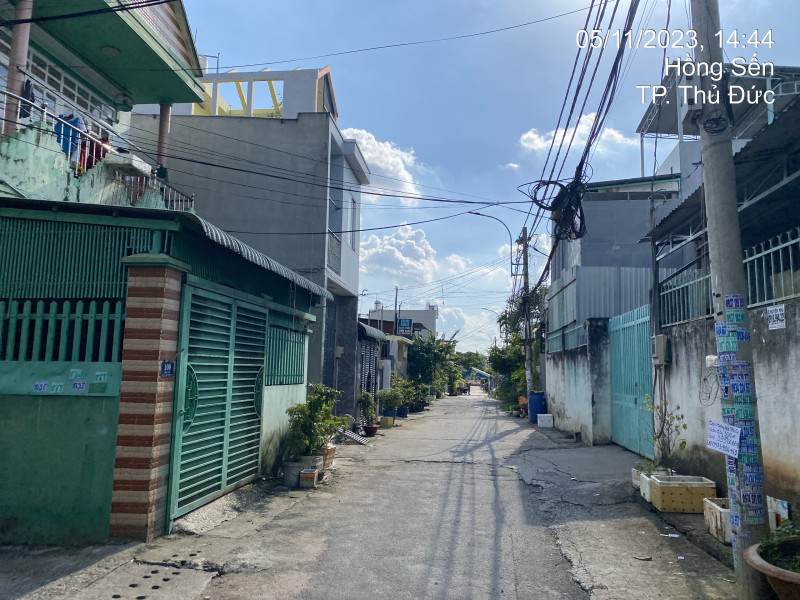 HCM Q9.54	Hồng Sến