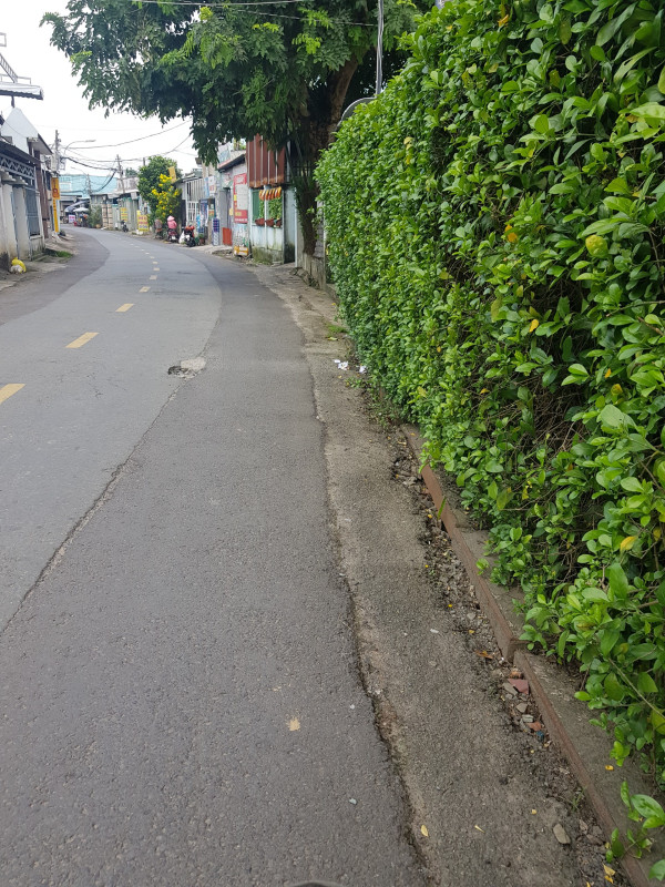 HCM.HM.05 Bà Điểm 5 - Ảnh 2