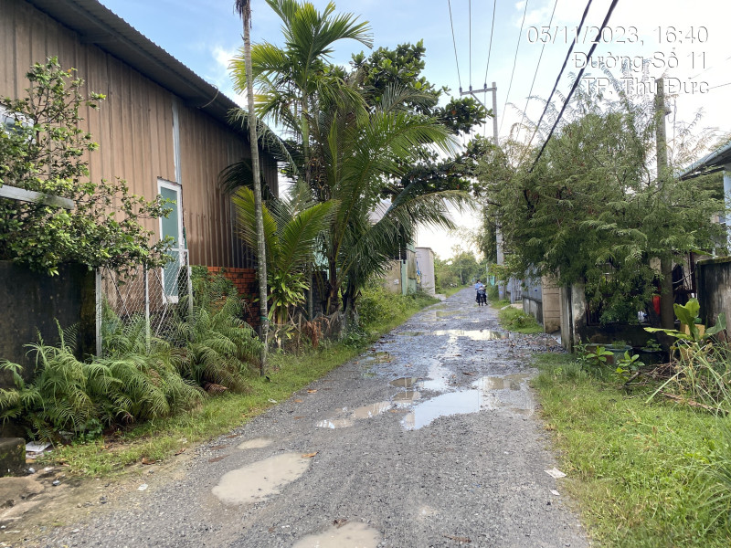 HCM Q9.33	Đường Số 11, Phường Long Phước