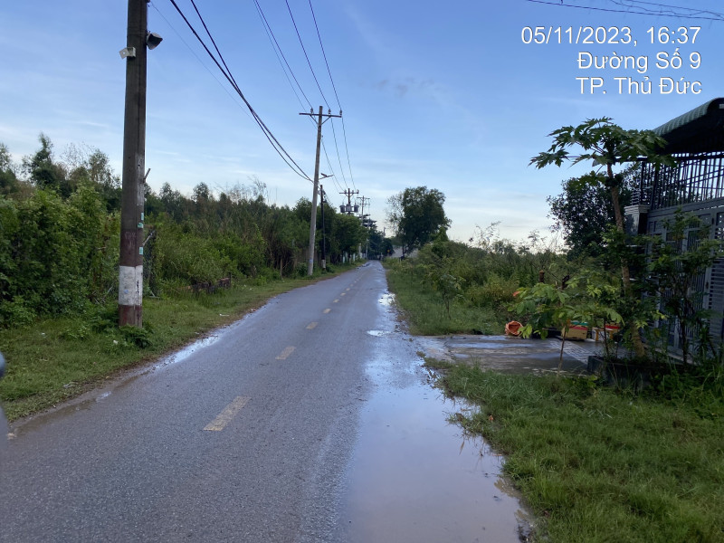 HCM Q9.31	Đường Số 9, Phường Long Phước
