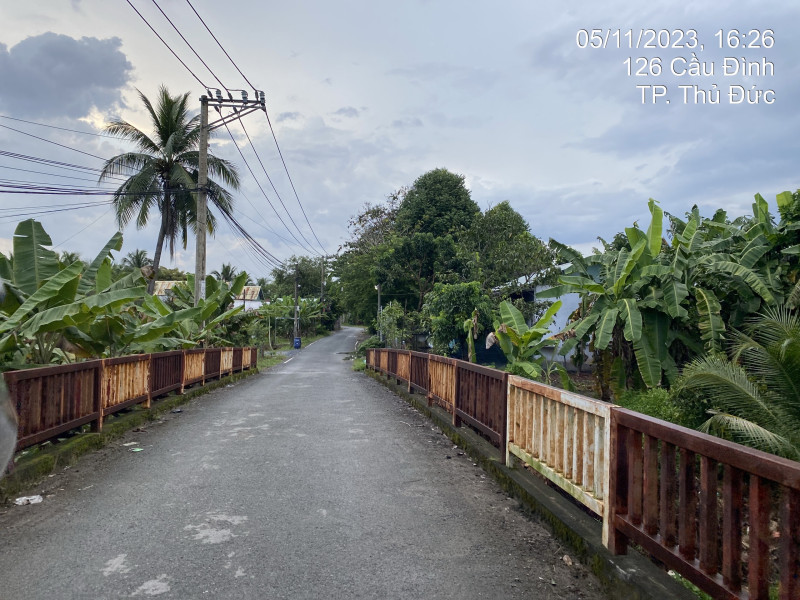 HCM Q9.22 Cầu Đình - Ảnh 3